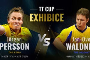 TT-Cup exhibition Waldner vs Person